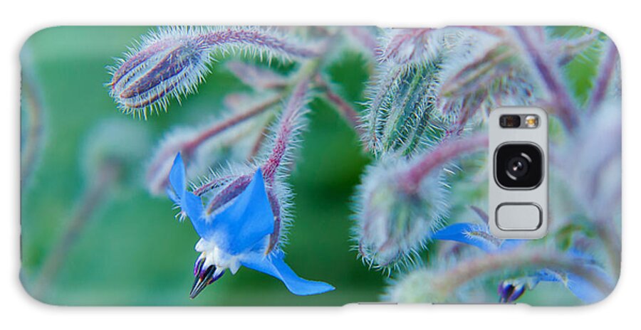 Blue Galaxy Case featuring the photograph Fine Art Blue by Lisa Chorny