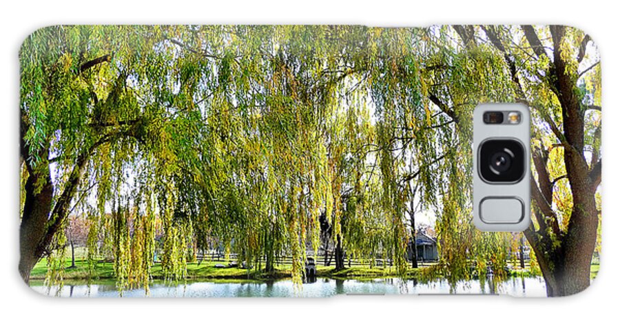 Finger Lakes Galaxy Case featuring the photograph Finger Lakes Weeping Willows by Mitchell R Grosky