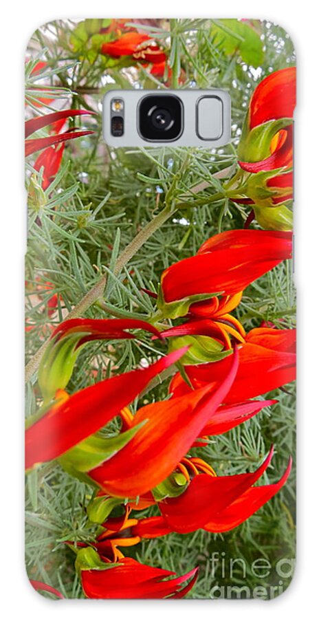 Flowers Galaxy Case featuring the photograph Fire Flowers by LeLa Becker