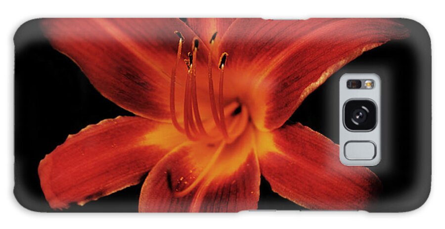 Lily Galaxy S8 Case featuring the photograph Fire Lily by Michael Porchik