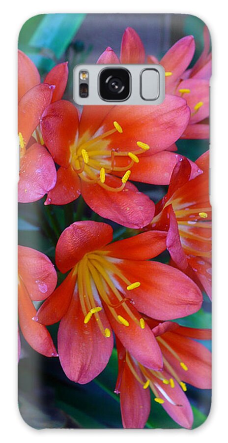 Flowers Galaxy Case featuring the photograph Firely Flowers by Nicki Bennett