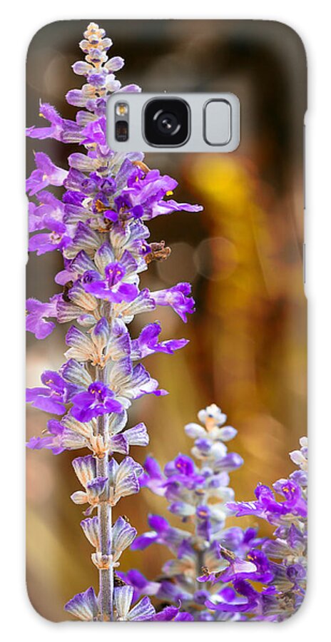 Flowers Galaxy Case featuring the photograph First Day of Fall by Maria Robinson