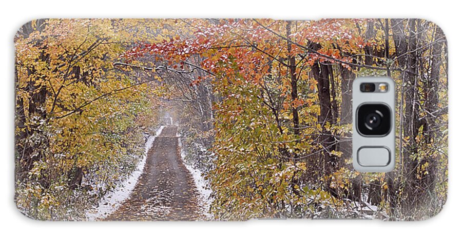 Fall Galaxy Case featuring the photograph First Snow by Alan L Graham