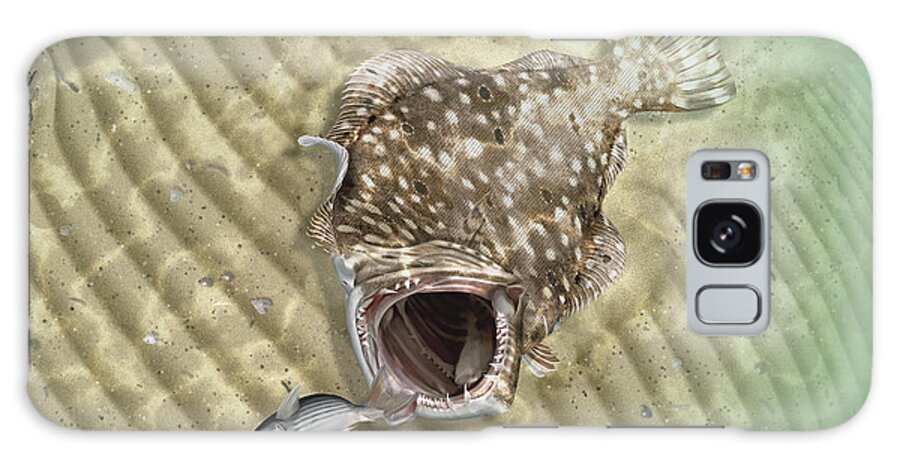 Flounder Galaxy S8 Case featuring the digital art Fisherman's Post Flounder by Hayden Hammond