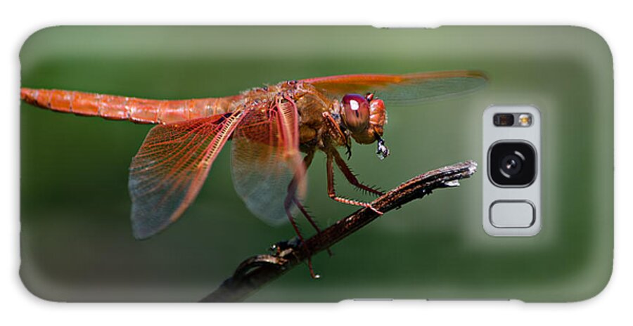 Dragonfly Galaxy Case featuring the photograph Flame Skimmer Dragonfly by Linda Villers