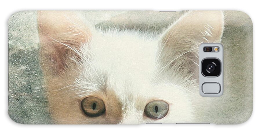 Kitten Galaxy S8 Case featuring the photograph Flamepoint Siamese Kitten by Pam Holdsworth