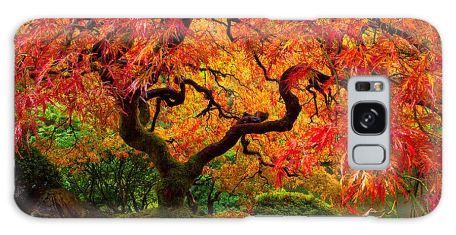 Portland Galaxy Case featuring the photograph Flaming Maple by Darren White