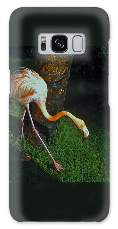Tree Galaxy Case featuring the photograph Flamingo Search Party by Karl Anderson