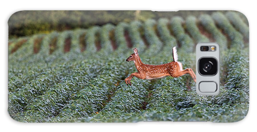 White-tailed Deer Galaxy Case featuring the photograph Flight of the White-tailed Deer by Everet Regal