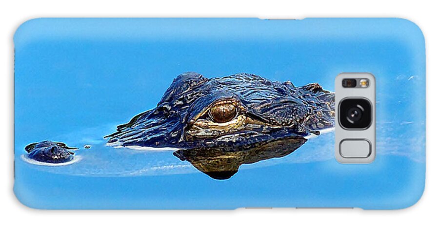 Alligator Galaxy Case featuring the photograph Floating Gator Eye by Christopher Mercer
