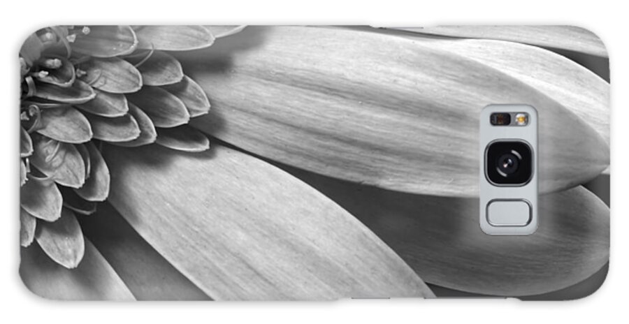 Beautiful Galaxy Case featuring the photograph Floral Detail by Dawn Currie