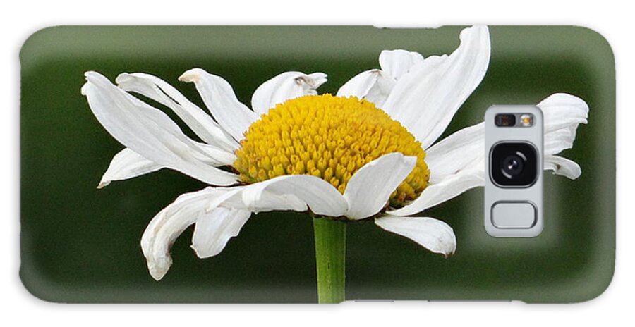 Flower Galaxy Case featuring the photograph Flower black and white by Karin Ravasio