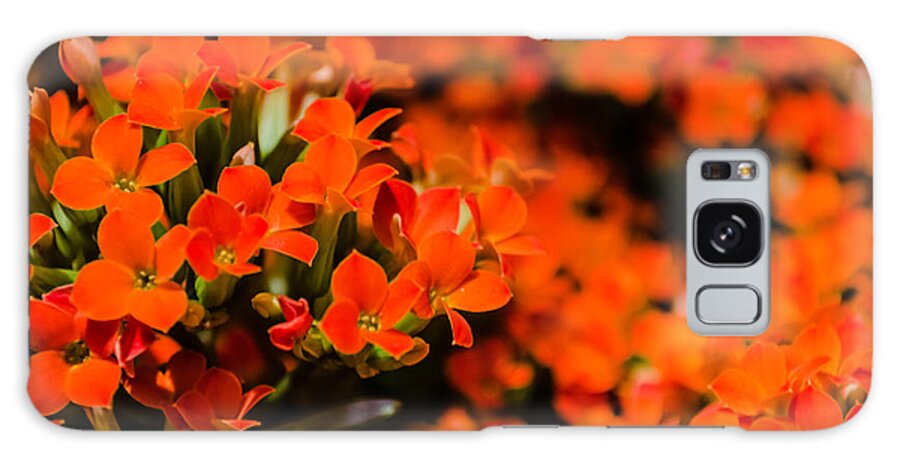 1855mm Galaxy Case featuring the photograph Flower Macro 1 by Alan Marlowe