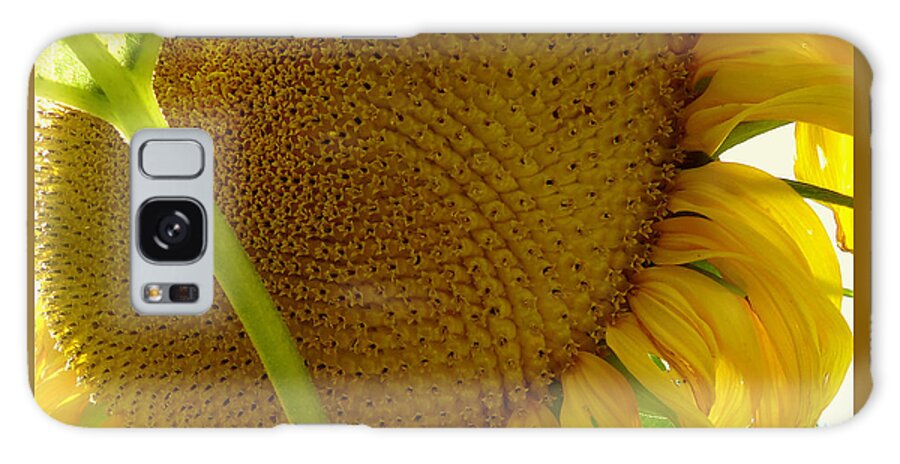 Sunflower Galaxy Case featuring the photograph Flower of the Sun by Peter Mooyman