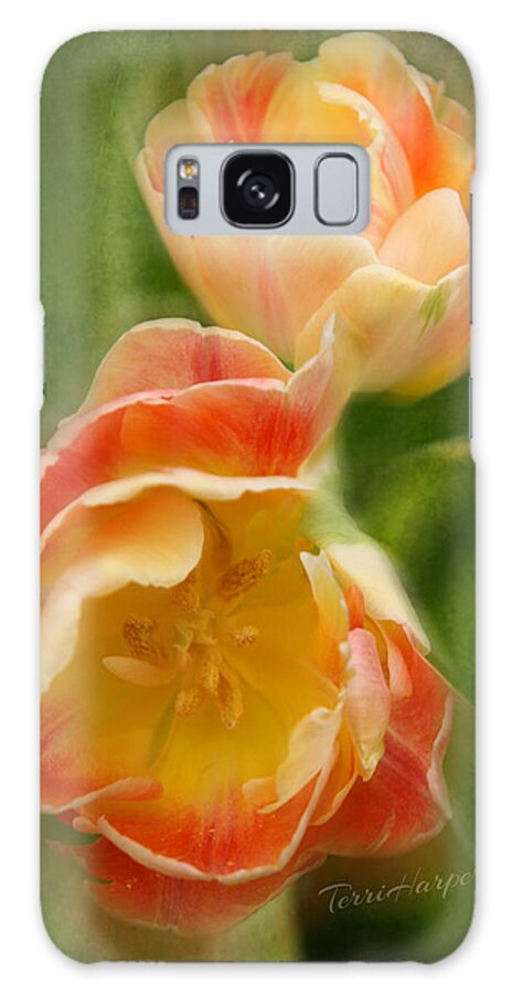 Tulips Galaxy S8 Case featuring the photograph Flower Power Revisited by Terri Harper