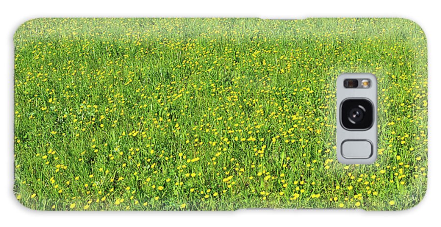 Tranquility Galaxy Case featuring the photograph Flowering Meadow With Buttercup by Raimund Linke