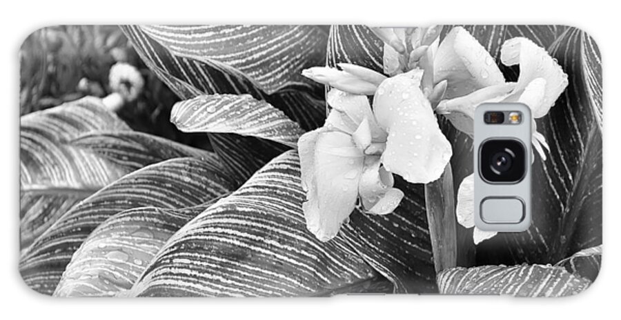 Monochrome Galaxy Case featuring the photograph Flowers growing by a pond. by Digital Photographic Arts