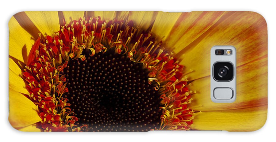 Close Up Galaxy Case featuring the photograph Flowers by Gunnar Orn Arnason