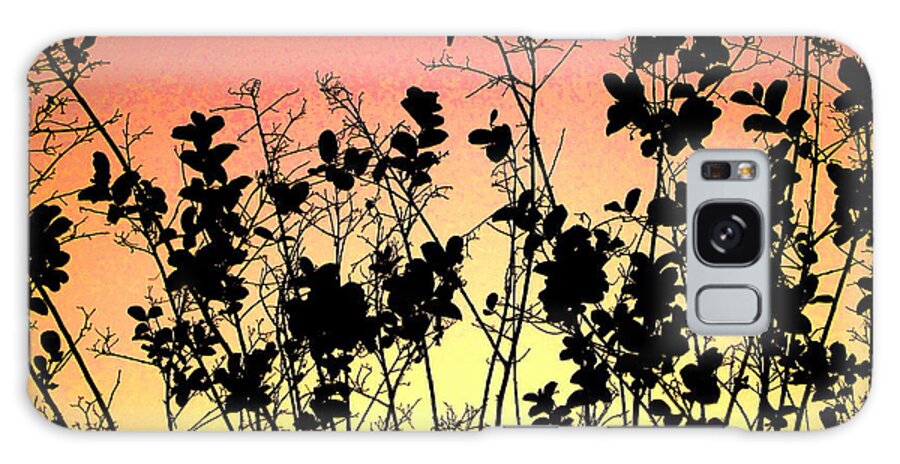  Agriculture Galaxy Case featuring the photograph Flowers in the backlight 2 by Amanda Mohler