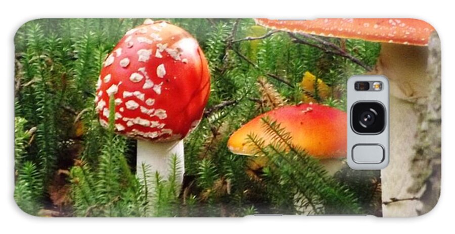 Mushroom Galaxy Case featuring the photograph Fly Agaric Mushroom by Brigitte Emme