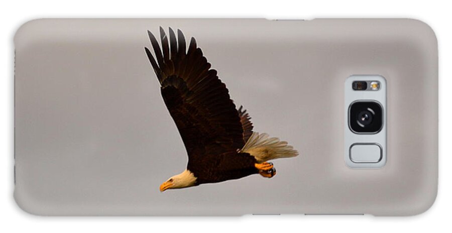 Bald Eagle Galaxy Case featuring the photograph Fly Like An Eagle by Doug Grey