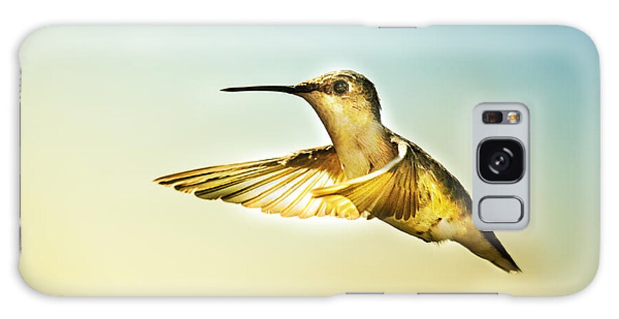 Hummingbird Galaxy Case featuring the photograph Fly On by Sue Capuano