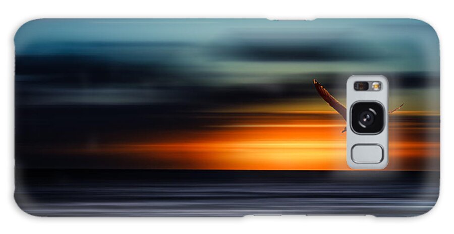 Sylt Galaxy Case featuring the photograph Flying Into The Sunset by Hannes Cmarits