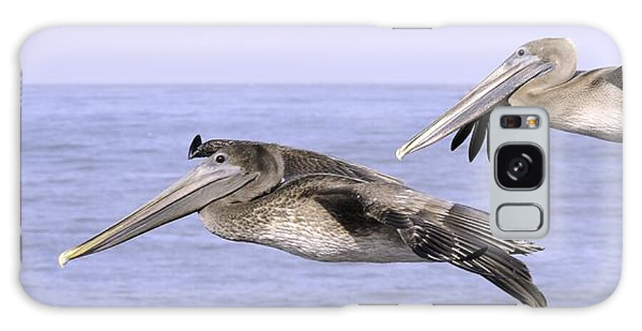 Pelican Galaxy Case featuring the photograph Flying Pelicans by Bradford Martin