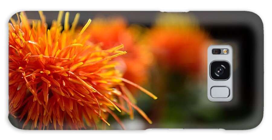 Safflower Galaxy S8 Case featuring the photograph Focused Safflower by Scott Lyons