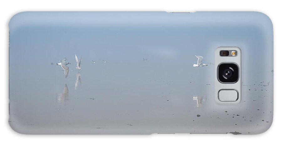 Fog Galaxy Case featuring the photograph Foggy Seabird Gathering Reflections by Roxy Hurtubise