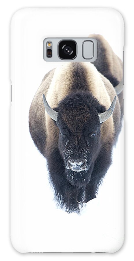Bison Galaxy Case featuring the photograph Follow the Line by Deby Dixon