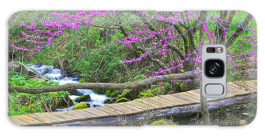 Trees Galaxy Case featuring the photograph Footbridge under the Redbud Tree by Alan Lenk