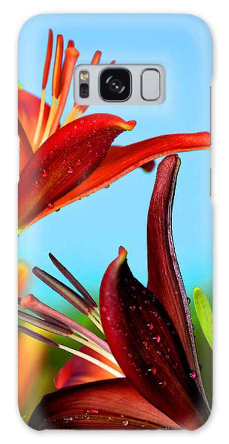 Lily Bloom Galaxy Case featuring the photograph For The Love of Lillies by Lesa Fine