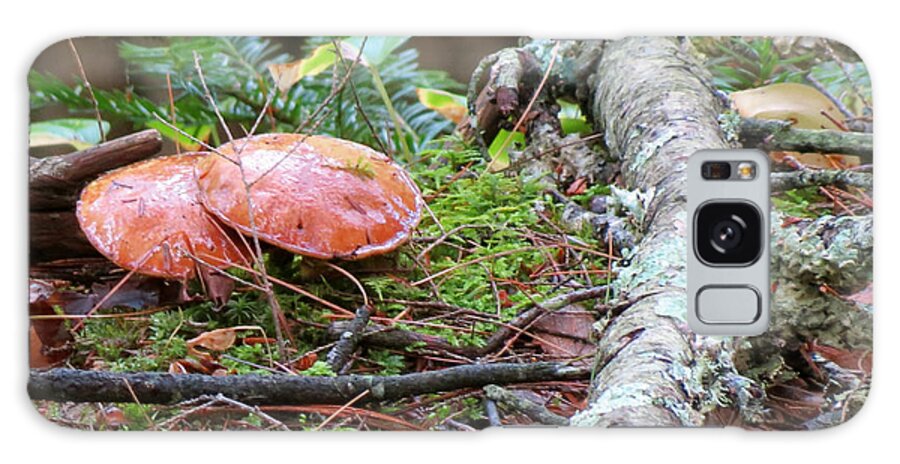 Mushroom Galaxy S8 Case featuring the photograph Forest Floor by Azthet Photography