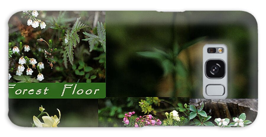 Wild Flowers Galaxy S8 Case featuring the photograph Forest Floor Collage by Sharon Elliott