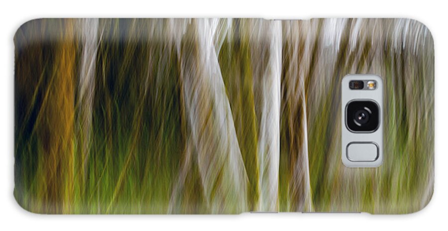 Movement Photography Galaxy Case featuring the photograph Forest for the Trees by Margaret Hood