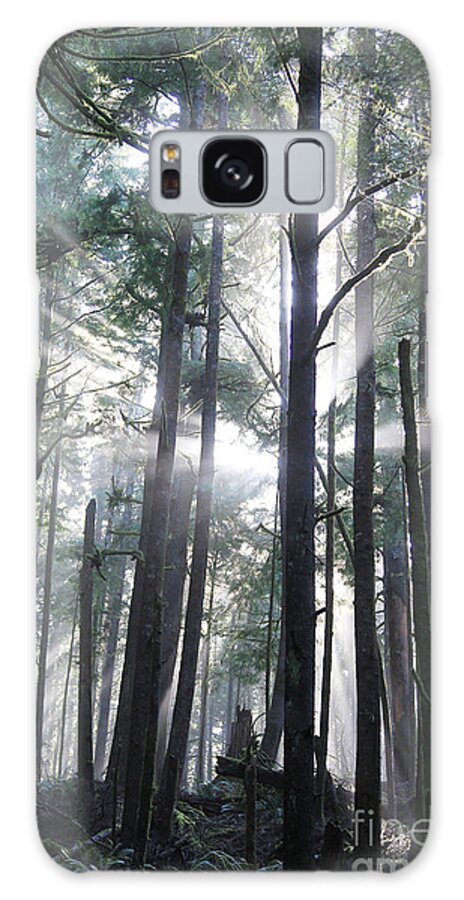 Nature Galaxy Case featuring the photograph Forest Light 2 by Jeanette French