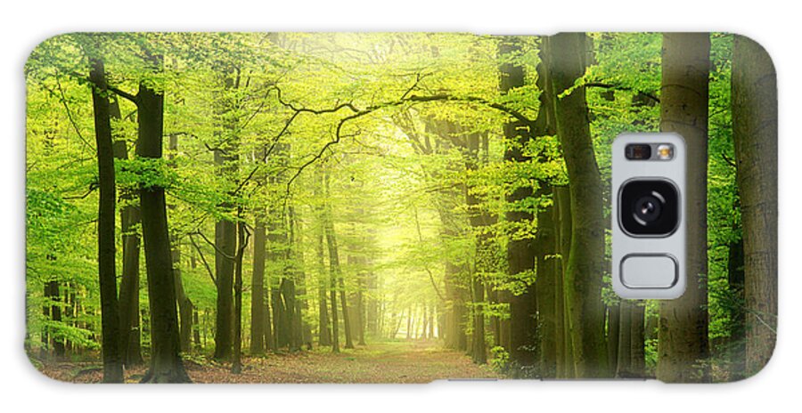 Tranquility Galaxy Case featuring the photograph Forest Path by Bob Van Den Berg Photography