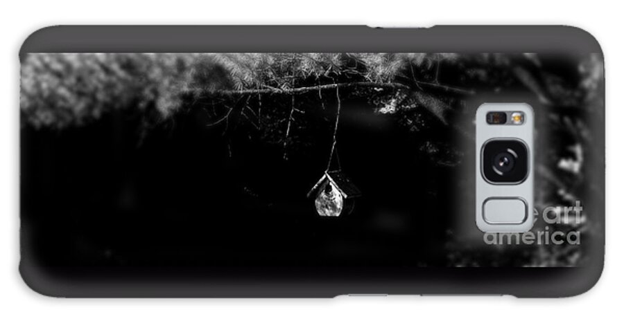 Golden-hour Sunlight Forest Woods Trees Branches Birdhouse Blackandwhite Art Photography Outdoors Cabin Relax Respite Horizontal Panoramic Light Sunlight Hangingbirdhouse Frank J Casella Galaxy S8 Case featuring the photograph Forest Retreat by Frank J Casella