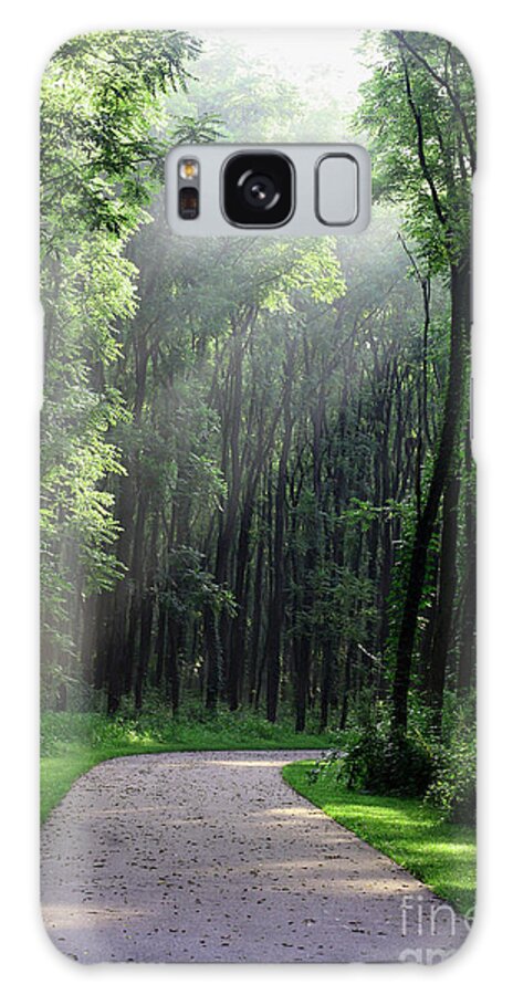 Trees Galaxy Case featuring the photograph Forest Walk by Anita Oakley