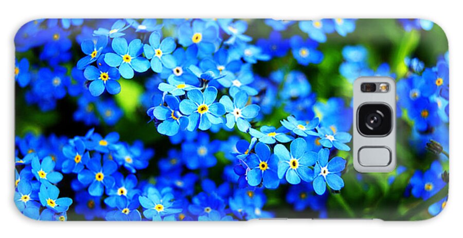 Forget-me-not Galaxy Case featuring the photograph Forget-Me-Not by Anita Braconnier