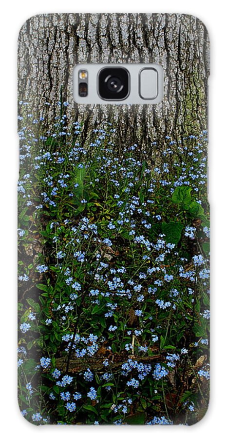 Forget-me-not Blossoms Galaxy Case featuring the photograph Forget-Me-Not by Randy Pollard