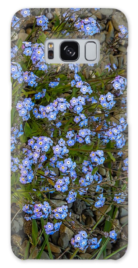Flowers Galaxy Case featuring the photograph Forget-Me-Nots by James Truett