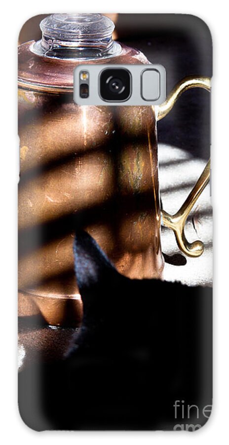 Still Life Galaxy Case featuring the photograph Found in a Sunbeam by Lawrence Burry