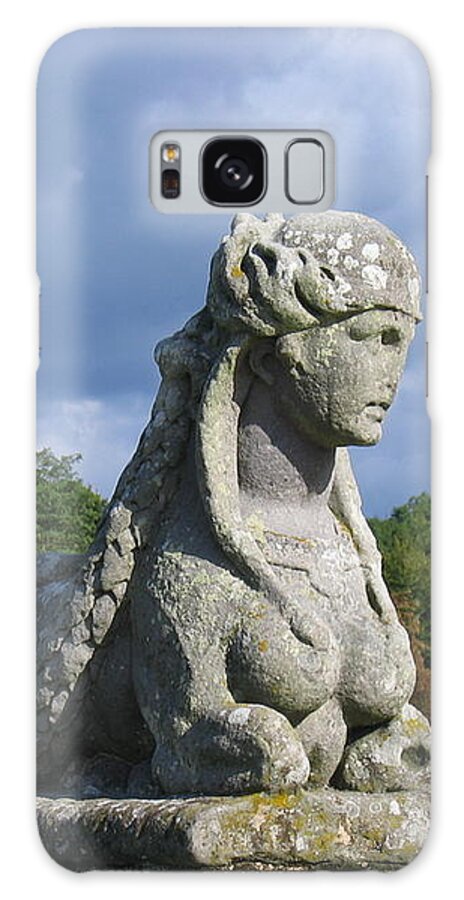 Statuary Galaxy Case featuring the photograph Fountainebleau Twin2 by HEVi FineArt