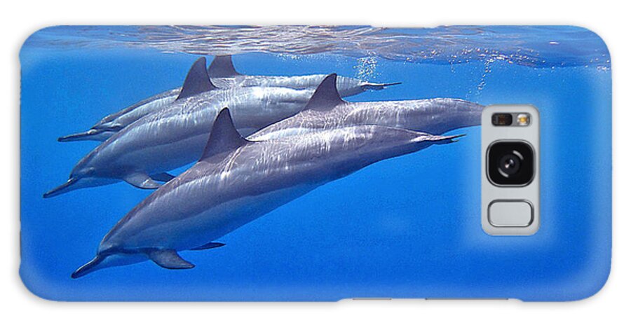 Spinner Dolphins Galaxy Case featuring the photograph Four Spinner Dolphins by Bette Phelan