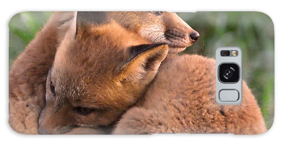 Fox Galaxy Case featuring the photograph Fox Cubs Cuddle by William Jobes