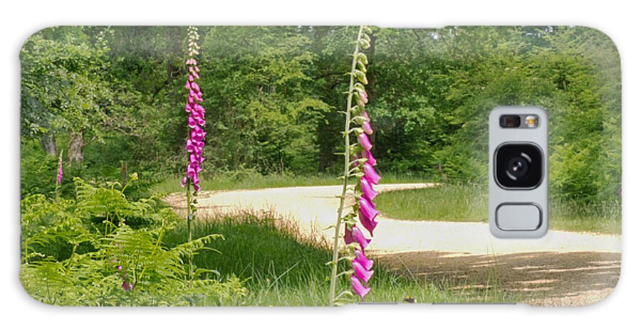 Foxgloves Galaxy Case featuring the photograph Foxgloves in New Forest by Tony Murtagh