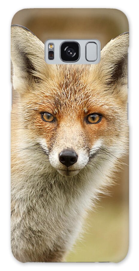 Afternoon Galaxy Case featuring the photograph Foxy Face by Roeselien Raimond