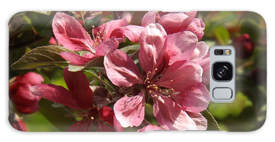 Crab Galaxy Case featuring the photograph Fragrant Crab Apple Blossoms by Brenda Brown